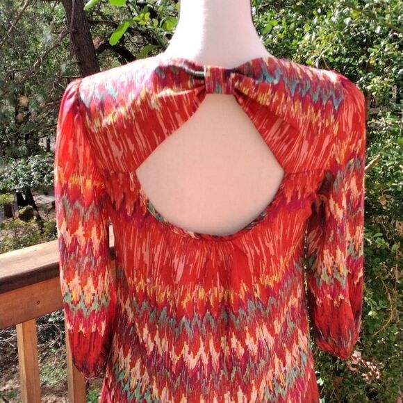 Lily Rose Dress  - Picture 6 of 11